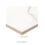 Charger l'image dans la visionneuse de galerie, Beldale 12 in. x 24 in. Matte Porcelain Marble Look Floor and Wall Tile