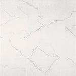 Charger l'image dans la visionneuse de galerie, Beldale 12 in. x 24 in. Matte Porcelain Marble Look Floor and Wall Tile