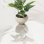 Charger l'image dans la visionneuse de galerie, Beldale 12 in. x 24 in. Polished Porcelain Marble Look Floor and Wall Tile