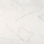 Charger l'image dans la visionneuse de galerie, Beldale 12 in. x 24 in. Polished Porcelain Marble Look Floor and Wall Tile