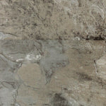 Load image into Gallery viewer, Goodfellow Golden Gate 3mm/0.5mm T x 12.36-in W x 24.60-in L Dry Back Vinyl Tile Flooring (38 sq.ft./case)