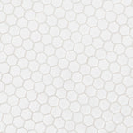 Charger l'image dans la visionneuse de galerie, Silica White Hexagon 11 in. x 13 in. Matte Porcelain Mosaic Floor and Wall Tile