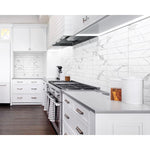 Load image into Gallery viewer, Anatolia Soho Statuario Gloss 4-inch x 16-inch Wall Tile