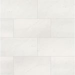 Charger l'image dans la visionneuse de galerie, Carreaux de sol et de mur en porcelaine polie MSI Aria Ice de 12 po x 24 po (16 pi²/caisse)