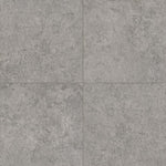 Charger l'image dans la visionneuse de galerie, Pavé en porcelaine mate MSI Stone ULC Eclipse Silver 24 po x 24 po x 20 mm (4 pi²/caisse)