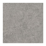 Charger l'image dans la visionneuse de galerie, Pavé en porcelaine mate MSI Stone ULC Eclipse Silver 24 po x 24 po x 20 mm (4 pi²/caisse)