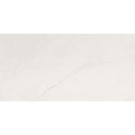Charger l'image dans la visionneuse de galerie, Carreaux de sol et de mur en porcelaine polie MSI Aria Ice de 12 po x 24 po (16 pi²/caisse)