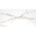 Charger l'image dans la visionneuse de galerie, Carreaux de porcelaine polie MSI Majestic Nugget 24 po x 48 po (16 pi²/caisse)
