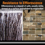 Load image into Gallery viewer, Custom Building Products Polyblend Plus 7 lb. #165 Delorean Gray Sanded Grout for Interior and Exterior Use