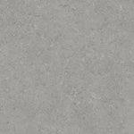 Charger l'image dans la visionneuse de galerie, Anatolia 12-inch x 12-inch Nevaro Shadow Matte Rectified Ceramic Floor and Wall Tile – 13.56 sq. ft./Case