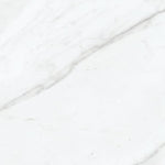 Load image into Gallery viewer, Anatolia Carrara Nevoso 12-inch x 12-inch Ceramic Tile (569 sq. ft./Pallet)