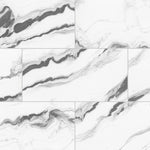 Load image into Gallery viewer, Modamo Mouro 24-inch x 48-inch Polished Porcelain Floor & Wall Tile