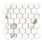 Load image into Gallery viewer, Modamo Mouro Polished White 2-inch Hexagon Porcelain Floor & Wall Mosaic Tile