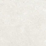 Charger l'image dans la visionneuse de galerie, Anatolia Coliseo Pearl Porcelain Tile 20 inch x 20 inch 15.93 sq. ft./case Matte Pressed Limestone Look Finish