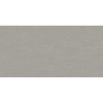 Load image into Gallery viewer, Anatolia Concept Silver 12 inch x 24 inch Matte Rectified Porcelain Floor and Wall Tile – 11.63 sq.ft. per Case