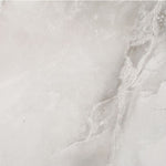 Charger l'image dans la visionneuse de galerie, Mono Serra Ice Gray Porcelain Tile 1.5 inch Thick 24 inch x 24 inch 15.5 sq. ft./Case Polished Marble Look Floor and Wall Tile
