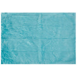 Charger l'image dans la visionneuse de galerie, Home Decor Inc. Blue 30 inch x 45 inch Faux Fur Indoor Rug with Faux Suede Anti-Slip Backing