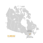 Charger l'image dans la visionneuse de galerie, Plancher de bois franc massif en chêne rouge naturel Dubeau Floors, 1,9 cm (¾ po) d'épaisseur x 8,9 cm (3 ¼ po) de largeur x longueur variable (20 pi²/caisse)