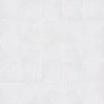 Load image into Gallery viewer, Anatolia Cinq White Ceramic Floor and Wall Tile 0.4 inch Thick 13 inch W 15.28 sq ft/case