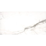 Load image into Gallery viewer, Legacy Arclina 12 in. x 24 in. Matte Ceramic Stone Look Floor and Wall Tile