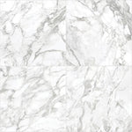 Load image into Gallery viewer, Anatolia 24 inch x 24 inch Domani Bianco Polished Rectified Marble Look Porcelain Tile 15.5 sq ft per Case