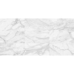 Load image into Gallery viewer, Anatolia 24-inch x 48-inch Calacatta Grigio Polished Rectified Porcelain Floor & Wall Tile