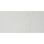 Load image into Gallery viewer, MSI Stone ULC Arctic Ravine Carrara White Porcelain Tile 0.37 inch Thickness 24 inch Width 16 sq. ft. Coverage Polished Finish Marble Look