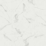 Charger l'image dans la visionneuse de galerie, Anatolia Statuario Matte Rectified Porcelain Tile 24 inch x 24 inch – 15.5 sq. ft. per Case Large Format Marble Look Finish