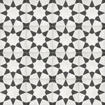 Charger l'image dans la visionneuse de galerie, Anatolia Artisano Splendor 8 inch x 8 inch High Definition Matte Porcelain Floor and Wall Tile (7.32 sq. ft./Case)