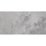 Load image into Gallery viewer, Royce 12 in. x 24 in. Matte Ceramic Stone Look Floor and Wall Tile