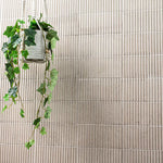 Load image into Gallery viewer, MSI Ramblas Stroget Porcelain Tile 4.5 inch x 9 inch 7.5 sq. ft./case Matte Fluted Subway Wall Tile Textured Finish
