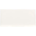 Charger l'image dans la visionneuse de galerie, Segment 3 in. x 6 in. Glossy Ceramic Subway Wall Tile