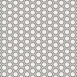 Charger l'image dans la visionneuse de galerie, Anatolia Artisano Bianco Frame 7 inch Matte Pressed Porcelain Tile 2.80 sq ft per Case Hexagon