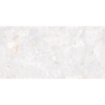 Load image into Gallery viewer, Beauty Five Ice Rivera 24-inch x 48-inch Porcelain Wall and Floor Tile (15.5 sq.ft./case)