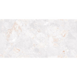 Load image into Gallery viewer, Beauty Five Ice Rivera 24-inch x 48-inch Porcelain Wall and Floor Tile (15.5 sq.ft./case)