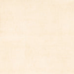 Charger l'image dans la visionneuse de galerie, Betonica 24 in. x 48 in. Matte Porcelain Concrete Look Floor and Wall Tile