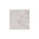 Load image into Gallery viewer, Core Fundamentals Platinum 12" x 24" Floor Tile (9 PC Per Carton) (17.60 SQFT Per Carton)