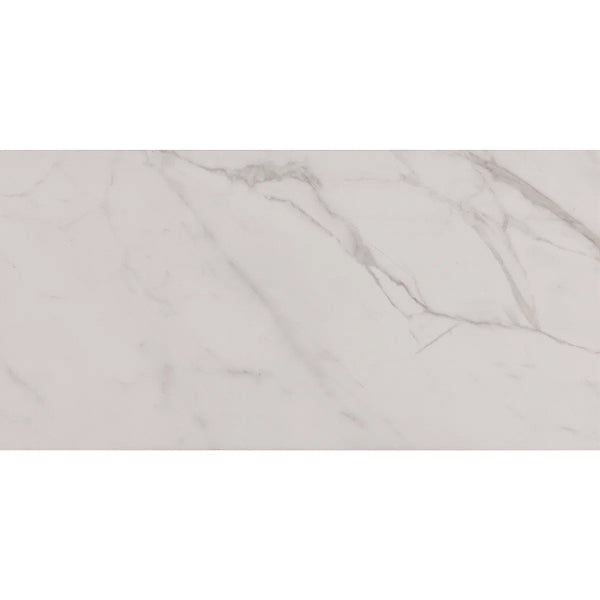 Core Fundamentals Platinum 12" x 24" Floor Tile (9 PC Per Carton) (17.60 SQFT Per Carton)