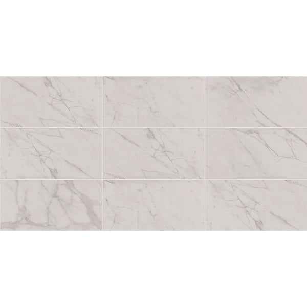 Core Fundamentals Platinum 12" x 24" Floor Tile (9 PC Per Carton) (17.60 SQFT Per Carton)