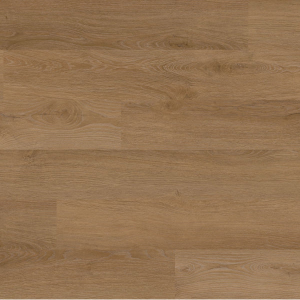 Home Decorators Collection Capital Peak Oak 8mm Click Lock Waterproof Luxury Vinyl Plank Flooring 9 inch Wide x 61 inch Long – 18.73 Sq. Ft./Case