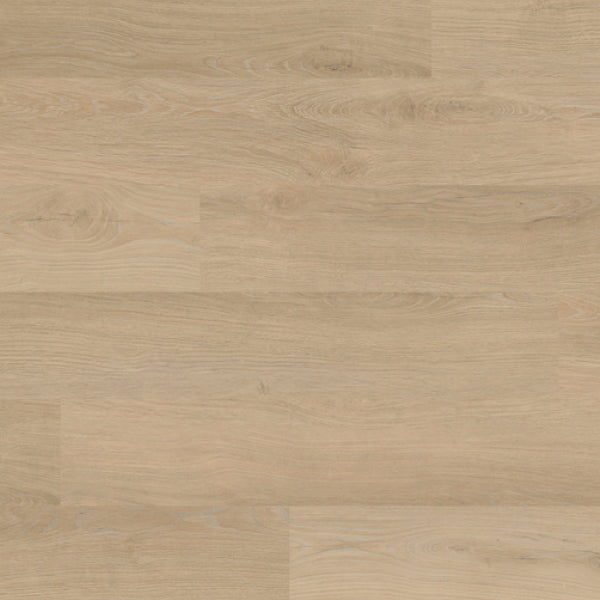 Serenity Oak 5mm - Glue Down Luxury Vinyl Tile (LVT) 9″ x 61″, 22MIL Wear Layer, Wood Look