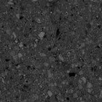 Charger l&#39;image dans la visionneuse de galerie, Revêtement de sol en vinyle imperméable de luxe Lifeproof Gaspesie Park Terrazzo 6,5 mm x 11,9 po l x 23,8 po L 22 mil (17,7 pi²/boîte)
