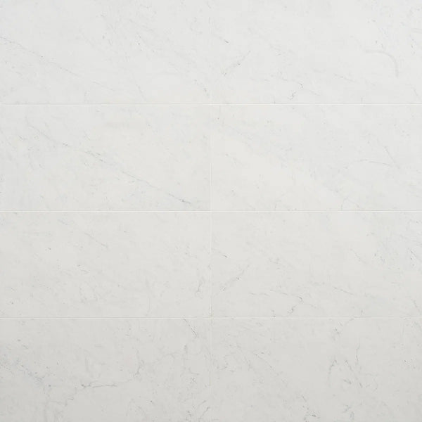 Saroshi 11.81 in. x 23.62 in. Matte Marble Look Porcelain Floor and Wall Tile