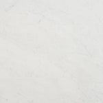 Charger l&#39;image dans la visionneuse de galerie, Saroshi 11.81 in. x 23.62 in. Matte Marble Look Porcelain Floor and Wall Tile
