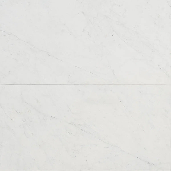 Saroshi 11.81 in. x 23.62 in. Matte Marble Look Porcelain Floor and Wall Tile