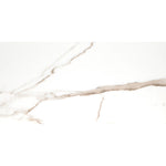 Charger l'image dans la visionneuse de galerie, Velluto 12" x 24" Matte Porcelain Marble Look Floor and Wall Tile