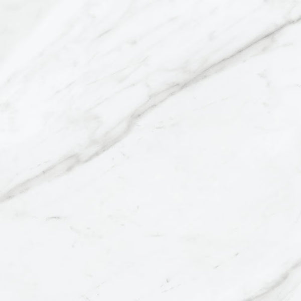 Anatolia 12-inch x 12-inch Carrara Nevoso Ceramic Floor and Wall Tile
