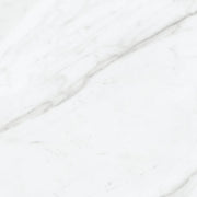 Anatolia 12-inch x 12-inch Carrara Nevoso Ceramic Floor and Wall Tile