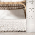 Charger l&#39;image dans la visionneuse de galerie, Tapis d&#39;intérieur/extérieur tressé nuLOOM Lefebvre ivoire 1,2 m x 1,8 m
