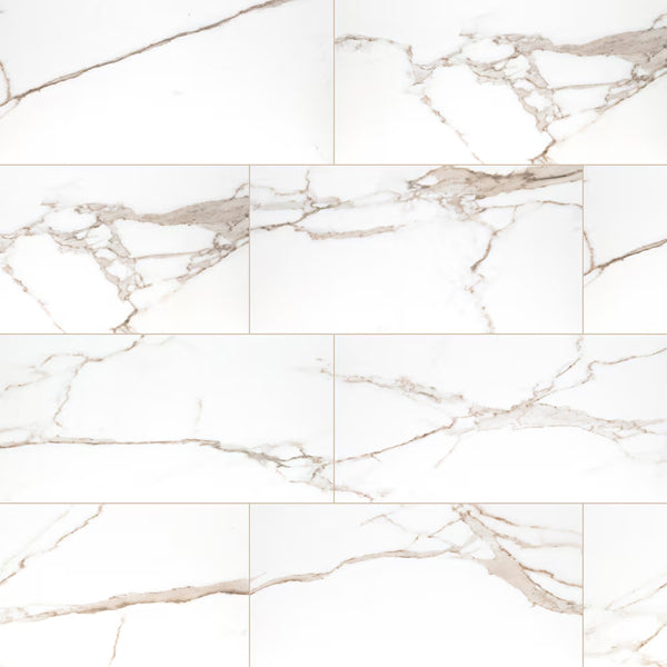 MSI Majestic Nugget 24 in. x 48 in. Polished Porcelain Tile (16 sq.ft./Case)